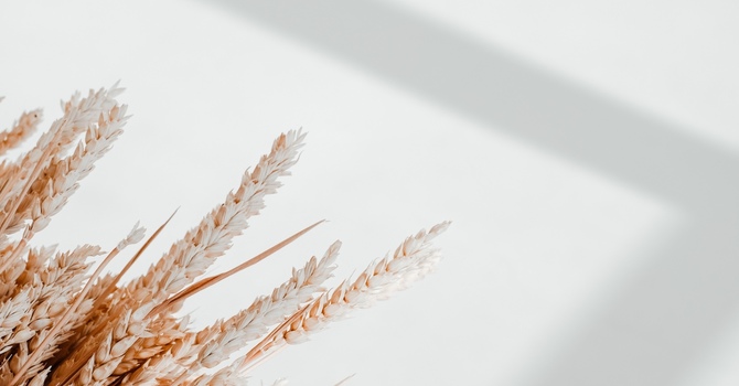 Physiotherapy-General Orthopaedics