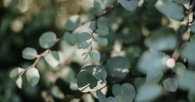 Physiotherapy-General Orthopaedics